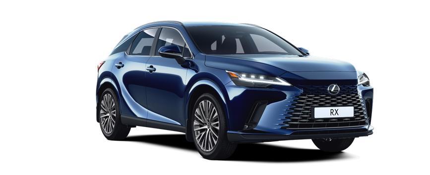 RX Executive Plus Deep Blue (8X5), frame 3