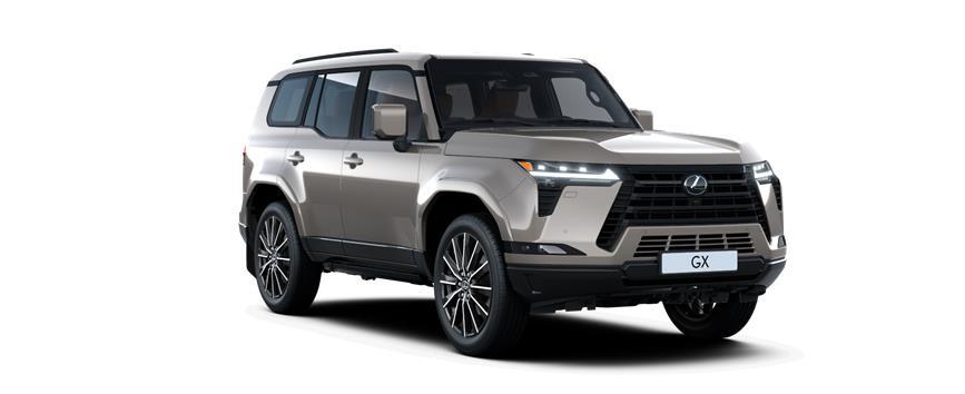 GX Luxury Sonic Titanium (1J7), frame 3