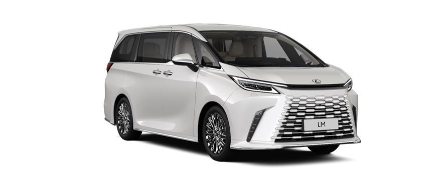 LM VIP+ АҚ ТҮСТІ МЕТАЛЛИК  (085), frame 3