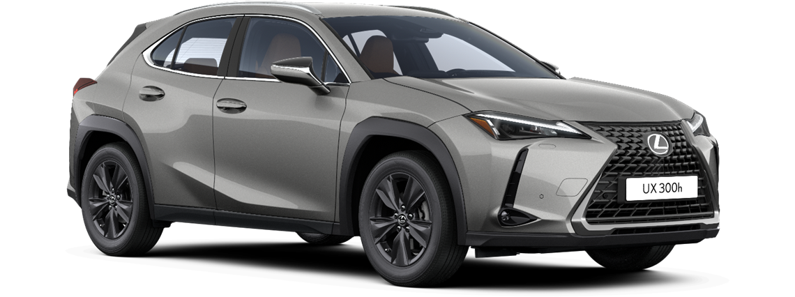 UX 300h (priekinių ratų pavara)