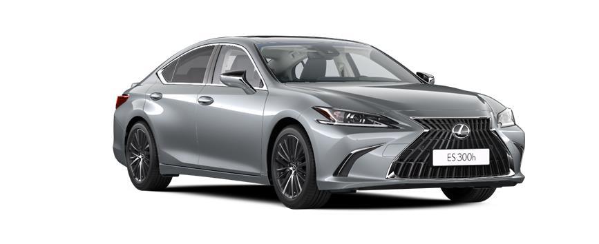 ES 35th Edition Sonic Platinum metallic (1L2), frame 3