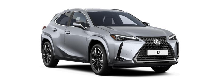 UX Executive Line Sonic Platinum metallic (1L2), frame 3