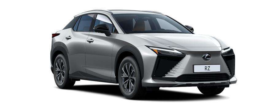 RZ Executive Sonic Platinum (1L2), frame 3