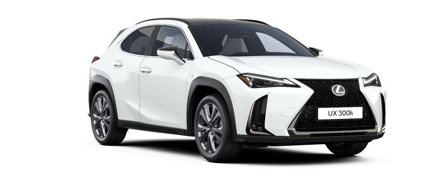UX F SPORT Design Bi-tone F White Bi-tone, frame 3