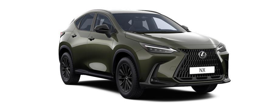 NX Overtrail Terrane Khaki, frame 3