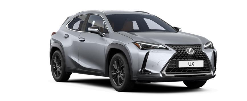 UX Business Sonic Platinum (1L2), frame 3