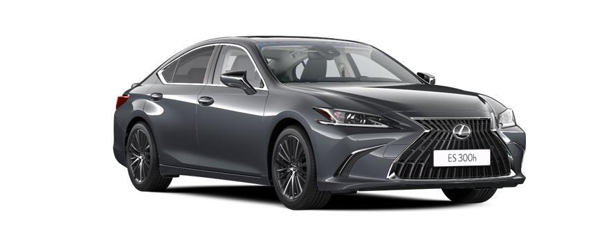 ES Business Sonic Grey (1L1), frame 3