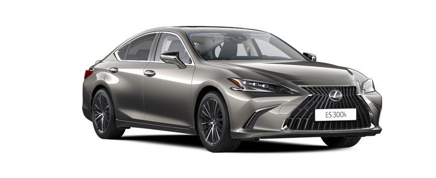 ES Executive Sonic Titanium (1J7), frame 3