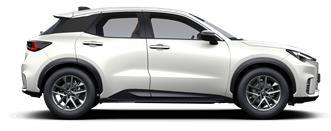 LBX Business SUV