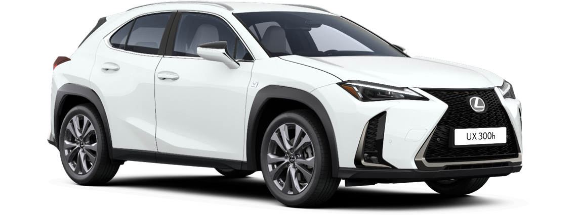 UX 300h AWD