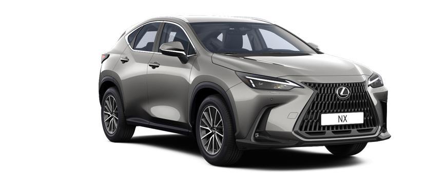 NX Business Sonic Titanium (1J7), frame 3