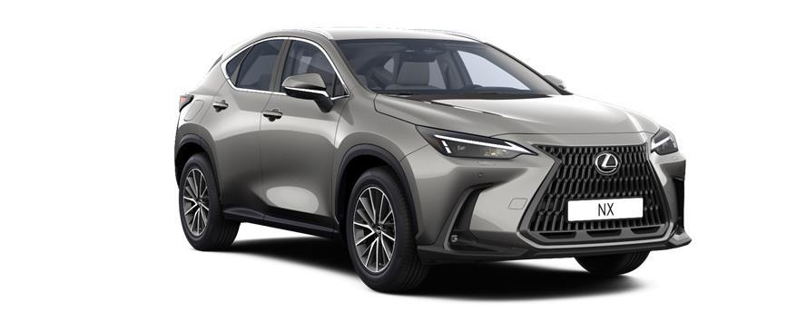 NX Executive Sonic Titanium (1J7), frame 3