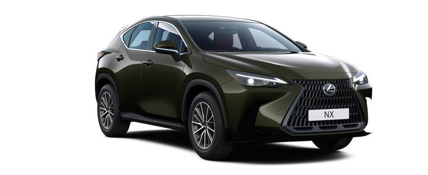 NX Business Plus Haki Yeşil (6X4), frame 3