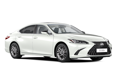 ES hybrid 2,5 л (гібрид)