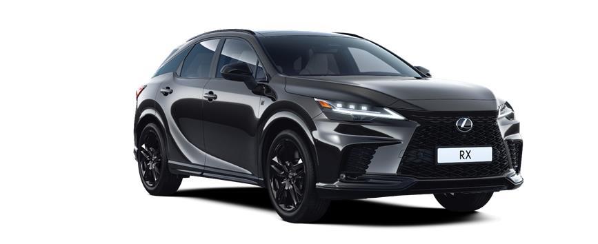 RX Special Edition Чорний графіт (223), frame 3