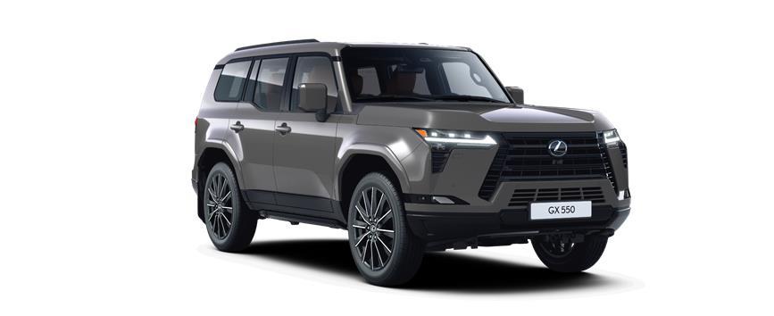 Новий GX Luxury+ Карбідовий сірий (1L8), frame 3