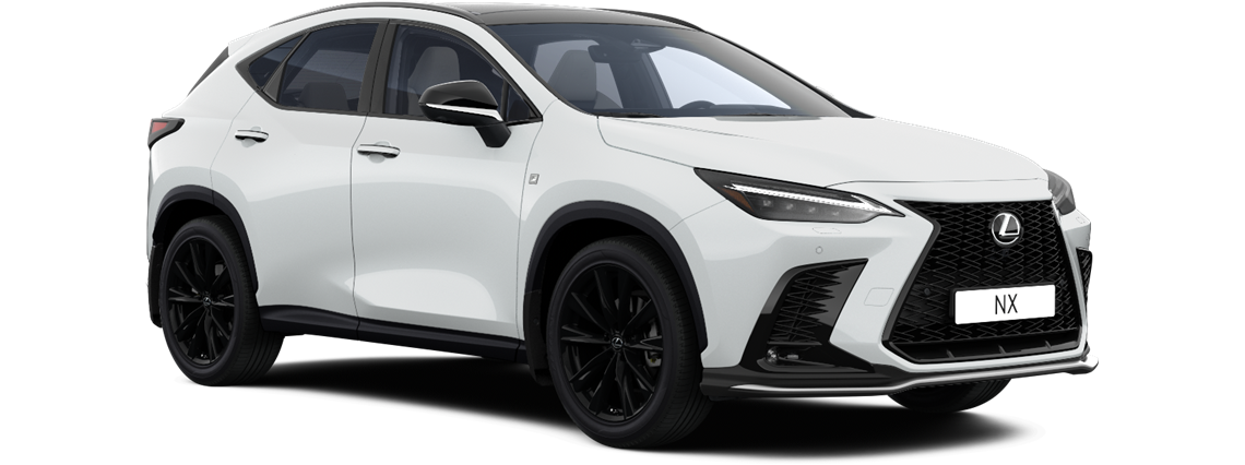 NX 350