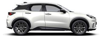 LBX ELegant LBX 5-дверний кросовер