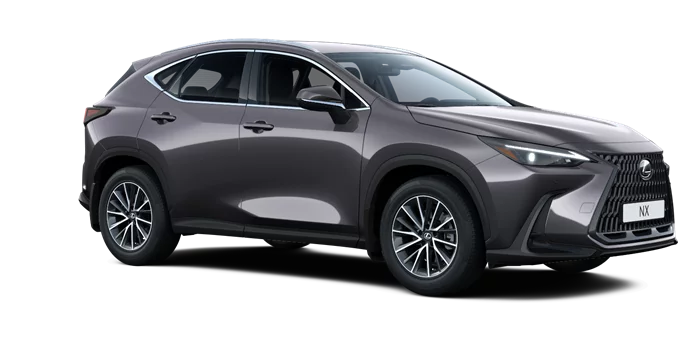 nx
