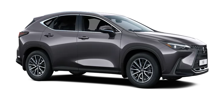 nx