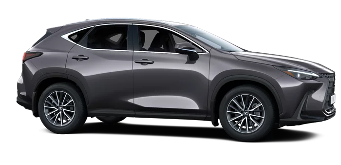 nx