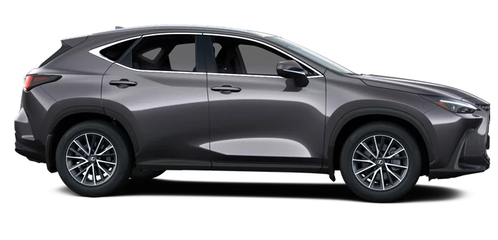 nx