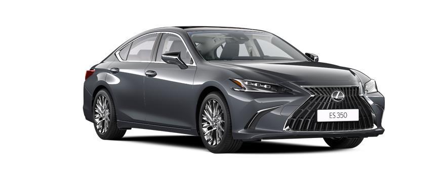 ES Luxury 350 Sonic Grey (1L1), frame 3