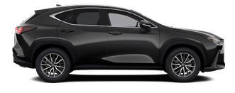 NX Executive