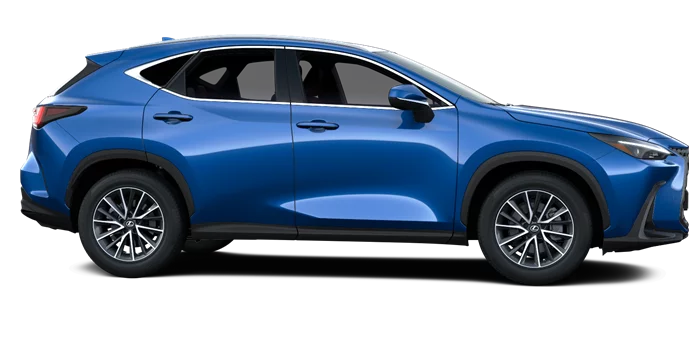nx