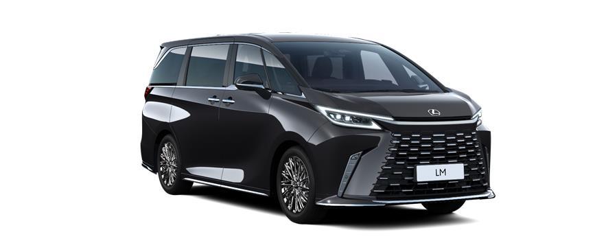 LM 7 seater black Graphite Black (223), frame 3