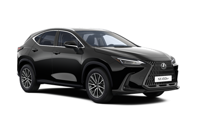 NX Business Line 