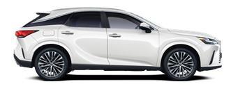 RX Executive Line