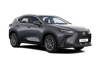 NX Executive 