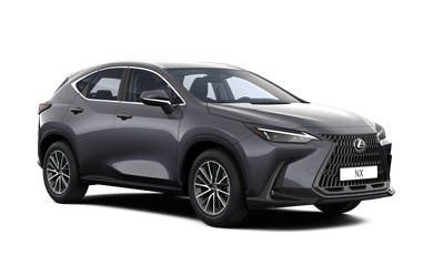 NX Executive 