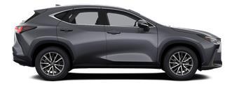 NX Executive