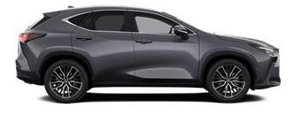 NX LUXURY