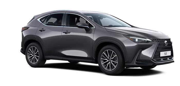 nx