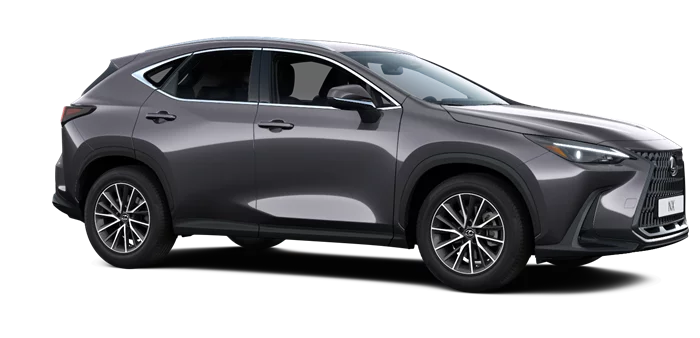 nx