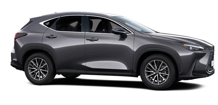 nx