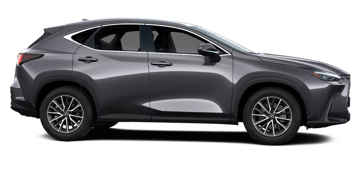 nx