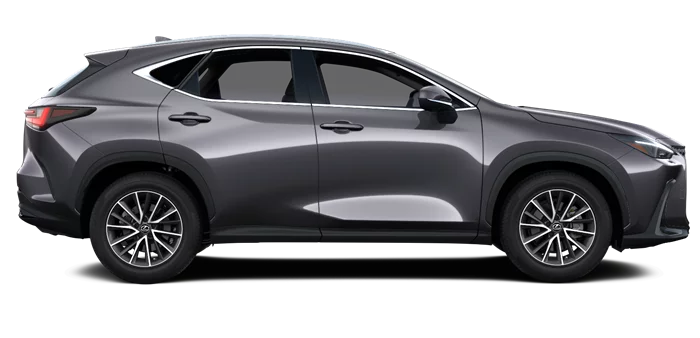 nx