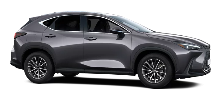nx