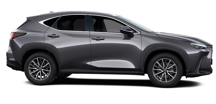 nx