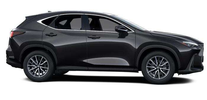 nx