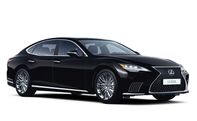 LS Comfort 