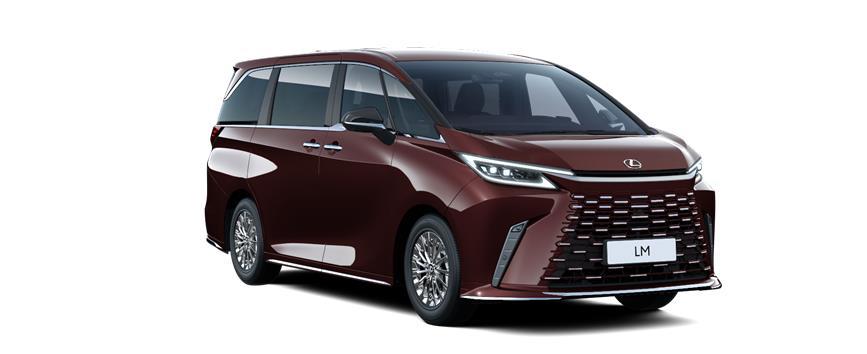 LM 7 SEATER Sonic Agate (3U3), frame 3