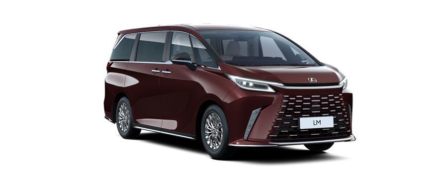 LM 7 SEATER Sonic Agate (3U3), frame 3