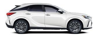 RX Executive