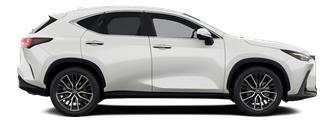NX Luxury