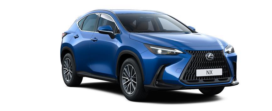 NX Executive Modrá Nebeská (8Y6), frame 3